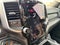 2021 RAM 1500 Big Horn Crew Cab 4x4 5'7" Box