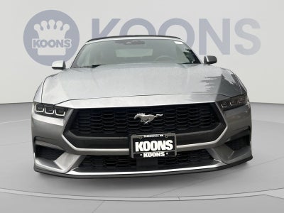 2024 Ford Mustang EcoBoost