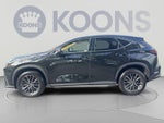 2024 Lexus NX 350 NX 350