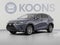 2019 Lexus NX 300 F SPORT