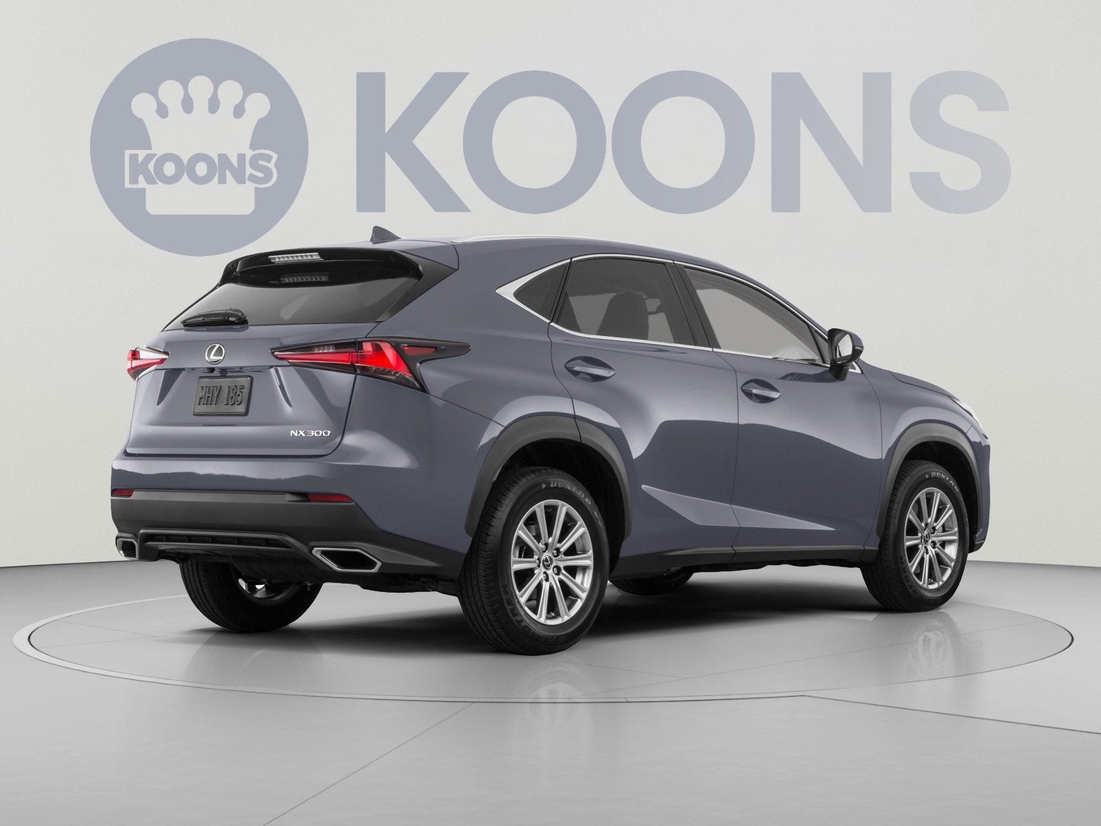 2019 Lexus NX 300 F SPORT