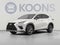 2020 Lexus NX 300 NX 300